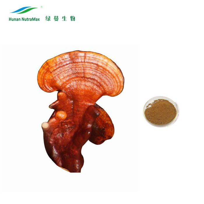 Reishi Mushroom Shell-broken Spore Powder 98% Wall-breaking