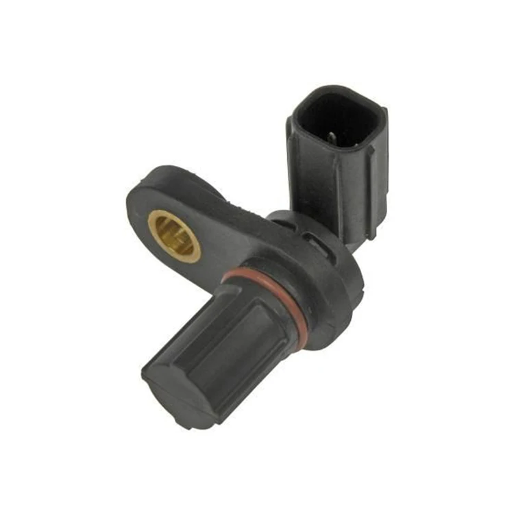 Custom Rapid Injection Molding Plastic Injection Mold ousing  Custom Mold