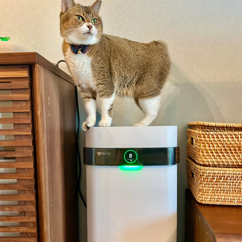 Airdog X5 Dog Cat Litter Smell Eliminator Best Air Purifier for Pets with Washable Filter