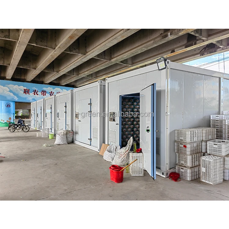 greenhouse for mushroom cultivation outdoor mushroom greenhouse indoor mushroom greenhouse