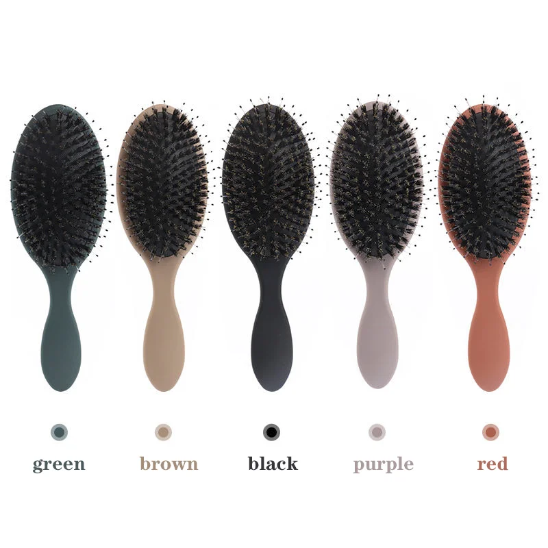 5 Colors Hairbrush Custom Logo Dry Wet Brush Detangling Hair Brush For Scalp Massage Nylon Boar Bristle Hair Extensions Brush