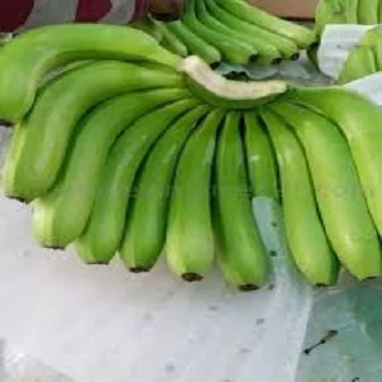 Fresh Bananas For Sale