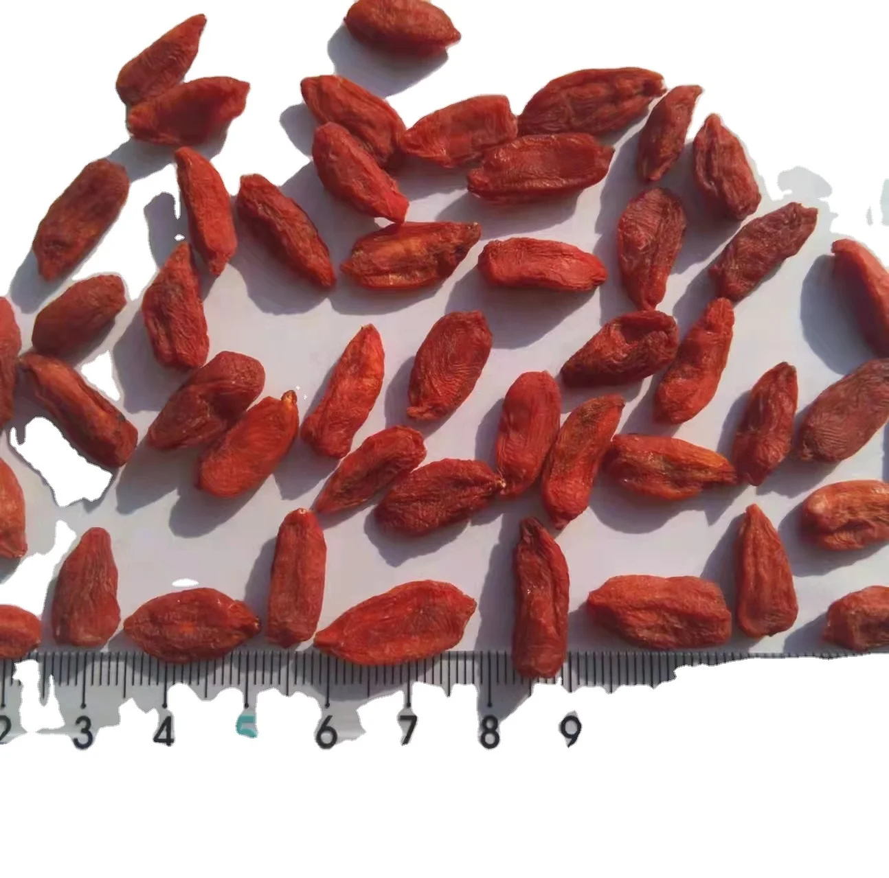 Высококачественные сушеные ягоды ningxia оптом