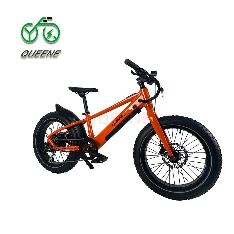 2024 Queene OEM & ODM 36V350W500W толстые шины электронный горный велосипед электрический для детей