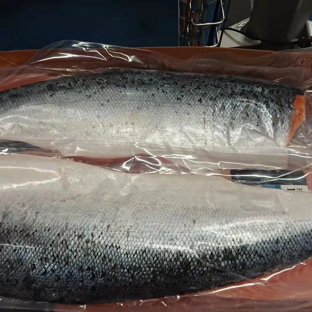 Chum Salmon new season