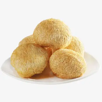 High Quality Pure Nautral Hericium Erinaceus lions Mane Mushroom Dried Hericium Erinaceus Mushroom Extract