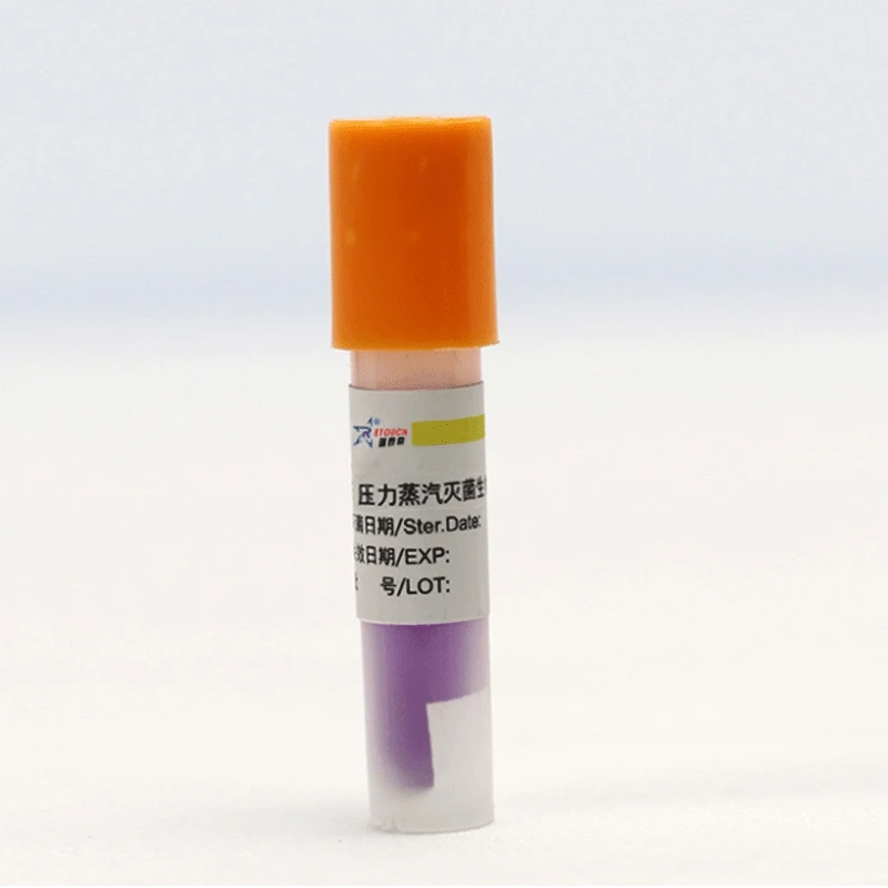 Wholesale rapid testing kit auto readout Plasma sterilization biological incubator