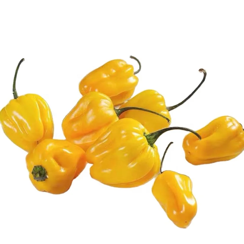 
Best Quality Hybrid f1 Yellow Harbanero Chili Hot Pepper Vegetable Seeds for Planting 