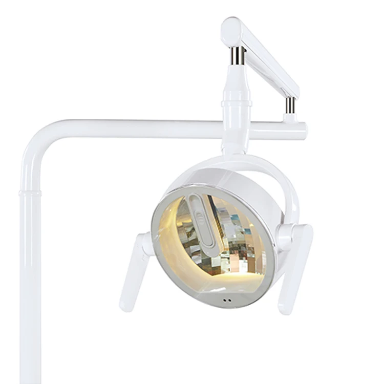 
Good price Ergonomic PU cushion Led 24V electric motor Koaladent dental chair 