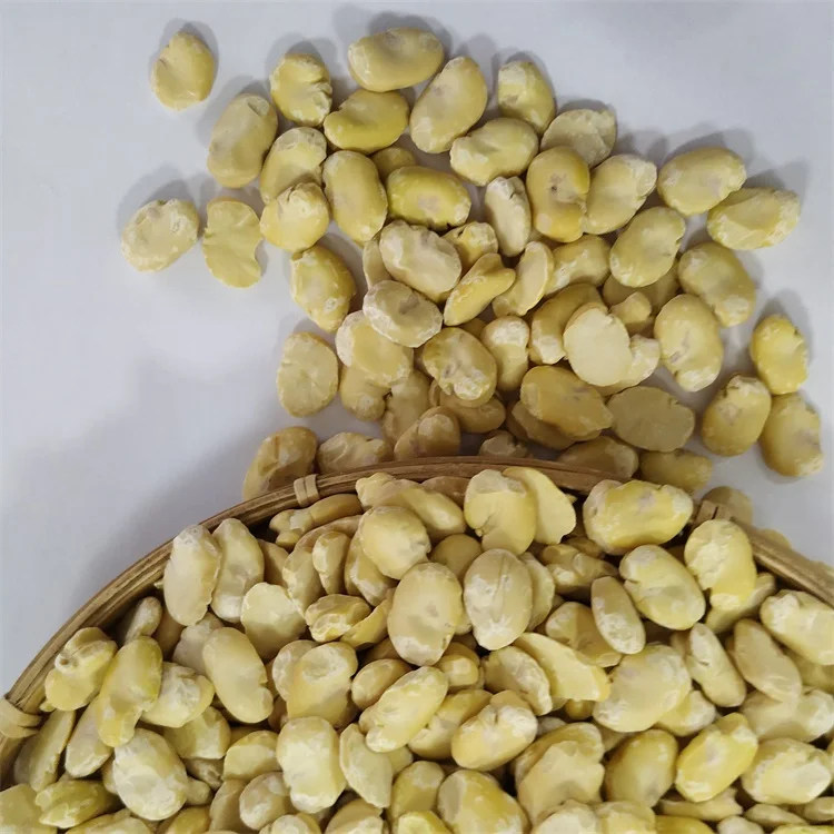 
Factory hot sell dried broad bean split peeled fava beans new crop 