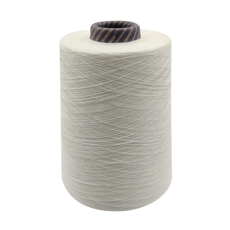 2021 China Yarn Supplier Free Sample Weaving Yarn 2/48NM Ramie Yarn For Clothing