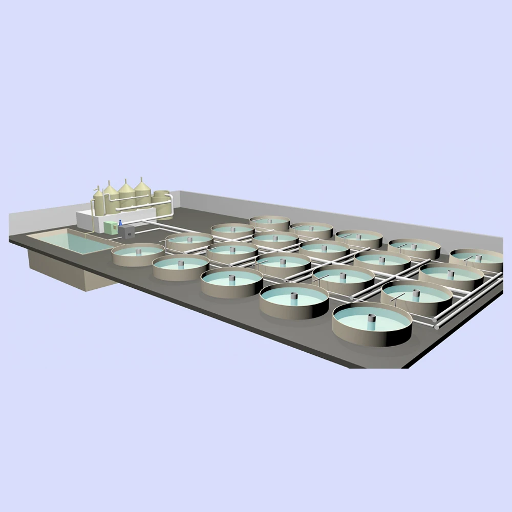 New Ras System Shrimp Culture System,Aquaculture Farming Equipment,Ras Full Setup