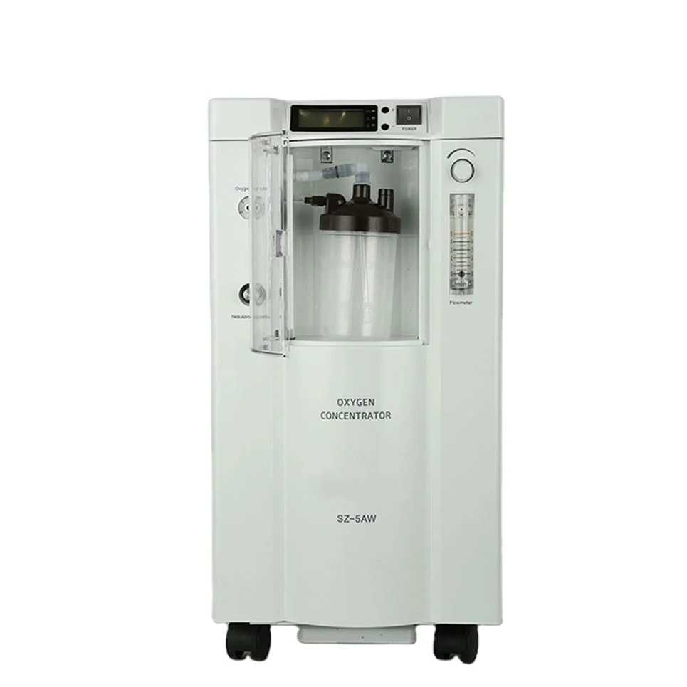 Portable And Top Fashion 220V Solar Powered Oxygen Concentrator For Paralysis Patient