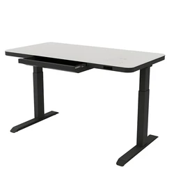 Smart Home Office Dual Motor Sit Stand Lifting Motorize Glass Height Adjustable Electric Desk