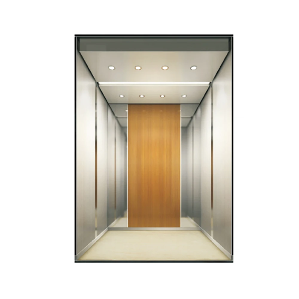 New Panoramic Glass Cabin Lifter Elevator AC Drive Type for Passenger Elevator for Sightseeing Applications CE Certified