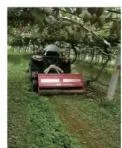 Modern Agricultural Loaders Compact Farming Tractors Walking Tractors for Small Scale Agriculture Farming Building Machinery