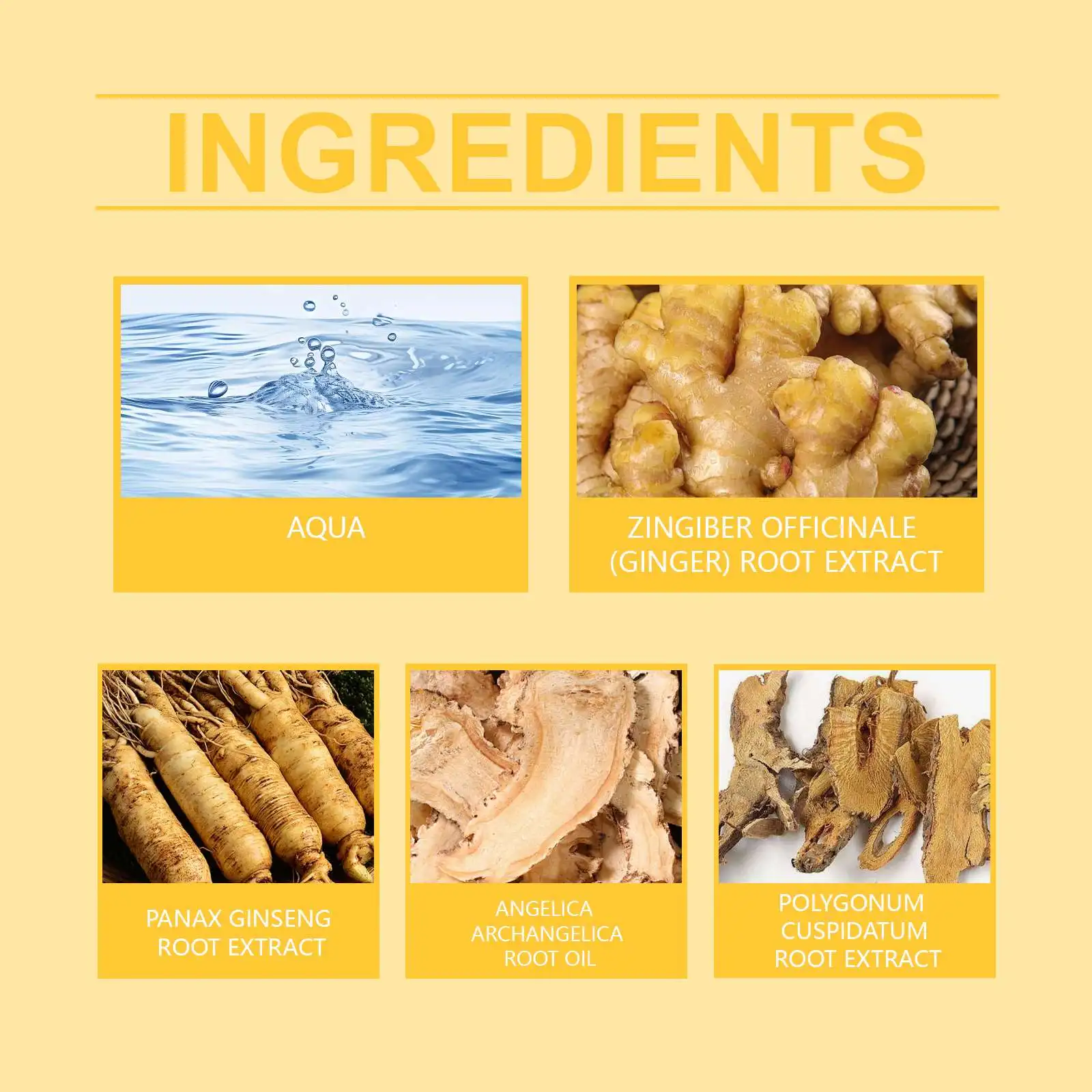 HOEGOA Wholesale Private Label Natural Ginger Hair Care Essence 7 Days Strengthen Thickening Hair Nutrient Solution Growth Oil