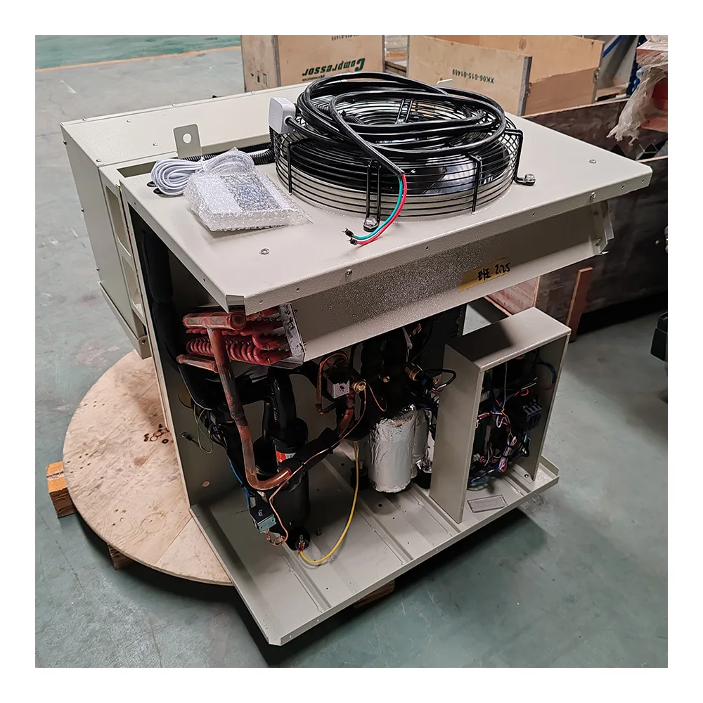 20Ft 40Ft Cold Storage Solar Wall Mounted Commercial cold room with refrigeration equipment for Fresh Milk