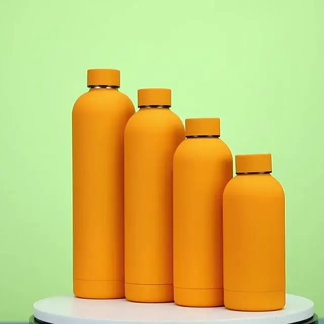 Sports Double Wall Insulated Stainless Steel Water Bottle Custom Vacuum Flask & Thermos