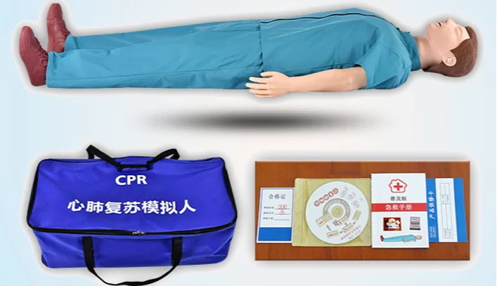 China Factory Wholesale Half Body Simplified Version CPR Training Manikin for Medical Teaching