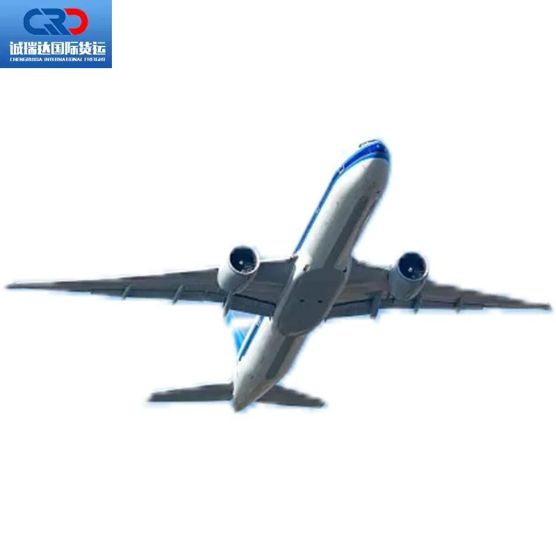 Worldwide Courier Service DHL UPS FEDEX Ali Express Air Sea Door to Door Shipping Agent China to Oman USA UK Turkey India