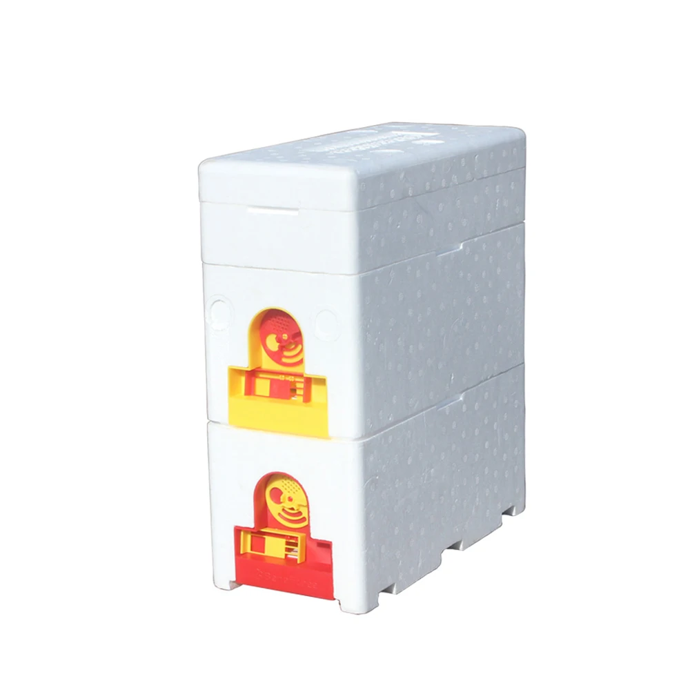 Best Quality Hony Bee Box Queen Bee Terrarium Bee Box Honey for Beekeeping Equipment