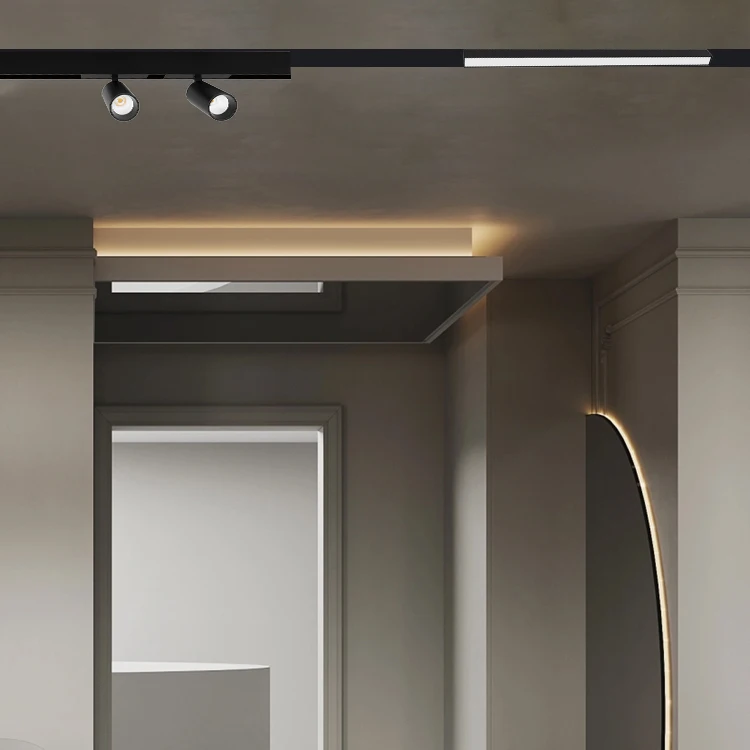 Магнитный Точечный светильник 48 В постоянного тока светодиодные умные магнитные трековые светильники ZigBee BT