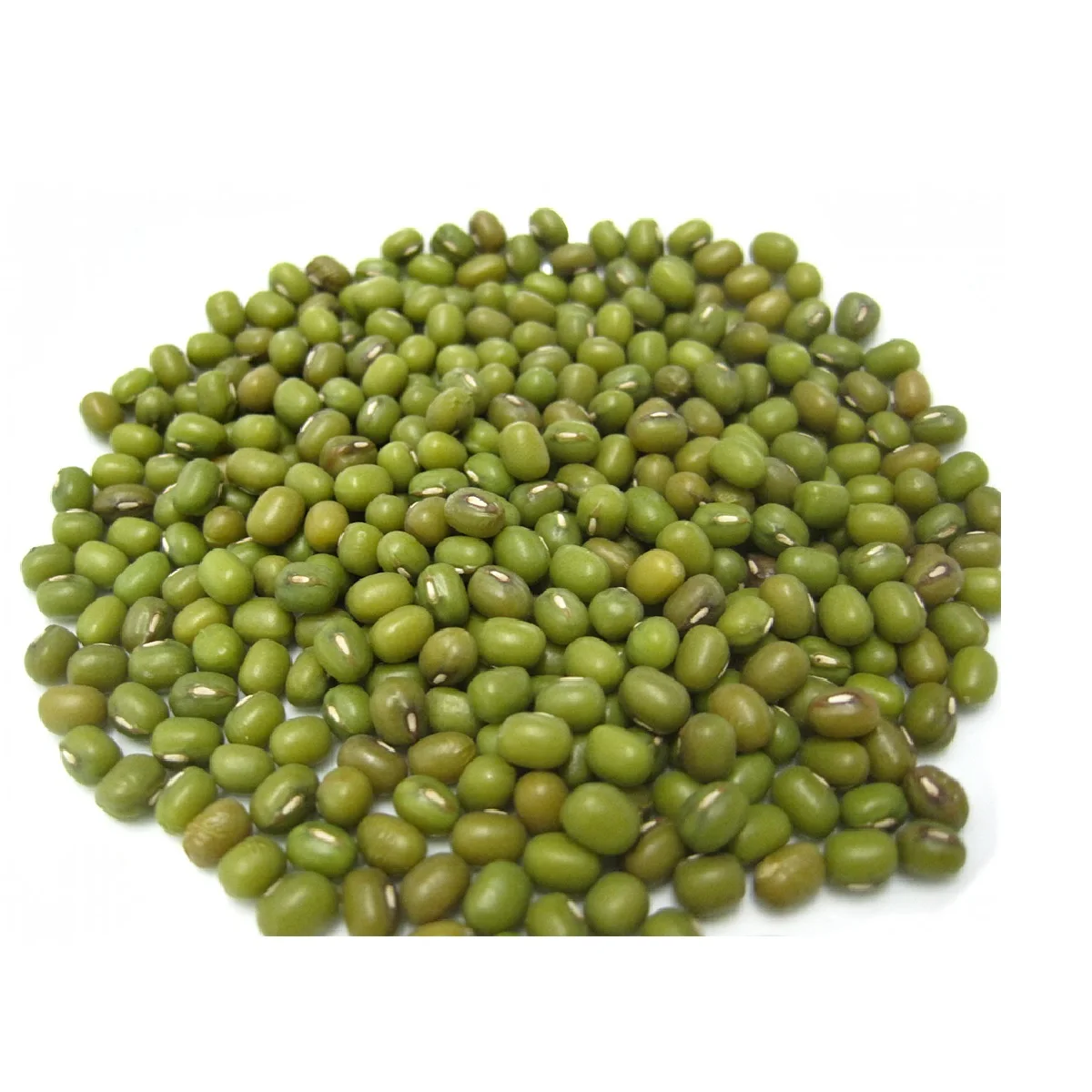 High Grade Non-GMO Nutritional Product Natural Bulk Dried Mung Beans from Uzbekistan  Vigna Mung beans for Food