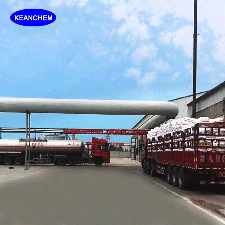 Host Selling Carboxymethyl Cellulose Sodium & Sodium Carboxymethyl Cellulose Cas 9004-32-4