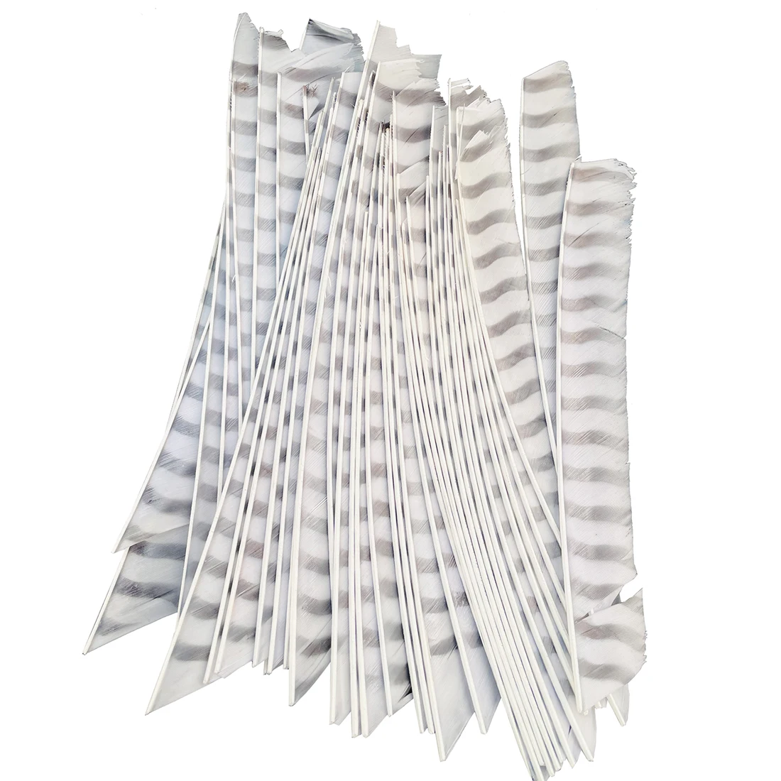 Full Length Right Wing Archery Arrow Feathers Colorful Stripe Turkey Feather Hunting and Shooting Arrow Feather DIY Outdoor