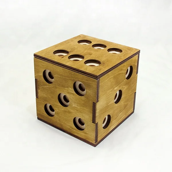 Cube Labyrinth Puzzle and Brain Teaser Puzzles Game for Kids and Adults to Challenge Mind for Think Fun and Educational Game