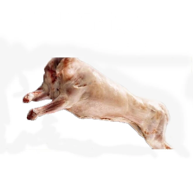 Hot frozen whole lamb Optograd LLP sells products for export