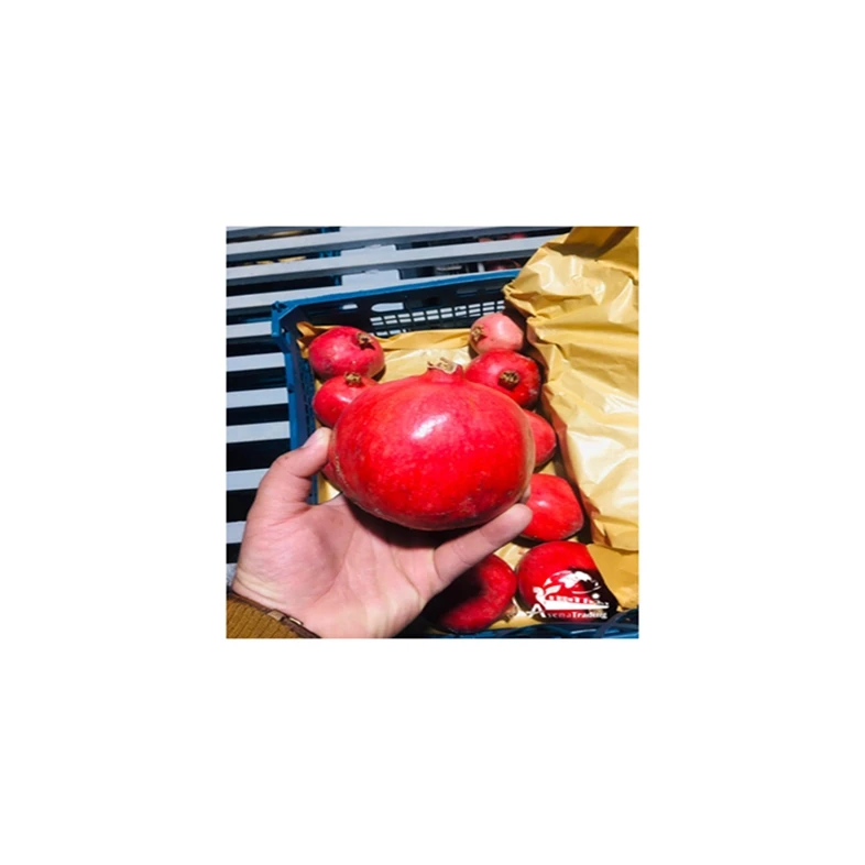 The most popular wholesale New Season 2021 Best Price Fresh Red Pomegranates Wholesale Fresh Pomegranates