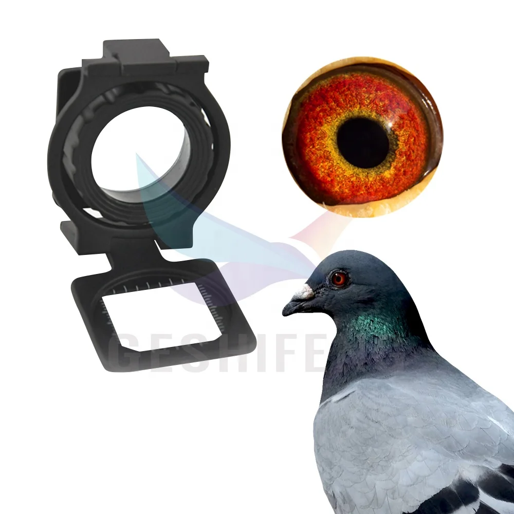 Folding magnifying glass 15x pigeon eyes high-definition shooting pigeon supplies