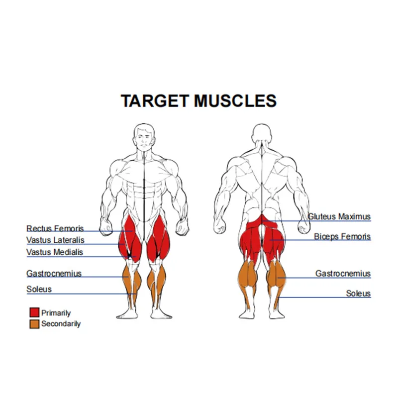 BFT Factory Professional Fitness Equipment Bodybuilding Standing Multi Hip Machine For Gym Fitness Club Use