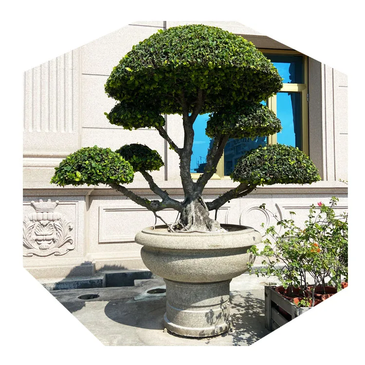 Chinese Garden Natural Stone Round Bonsai Bowls Penjing Art Micro Potted Landscape Large Flower Pot Planters