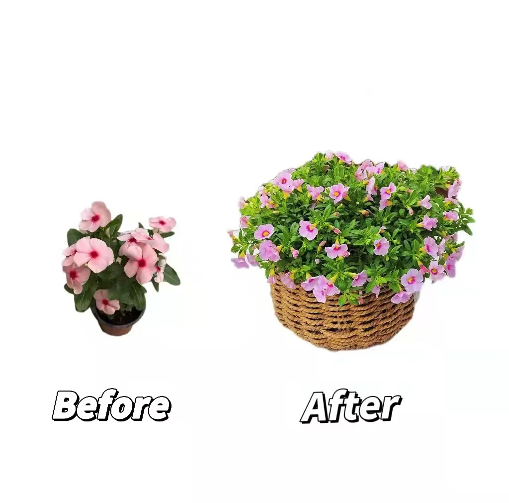 Рекомендации грануляции 0-10-10 0-20-30 NPK Fertilizer15-09-12 23-23-00 28-0-0 16-4-8 комнатное растение удобрение