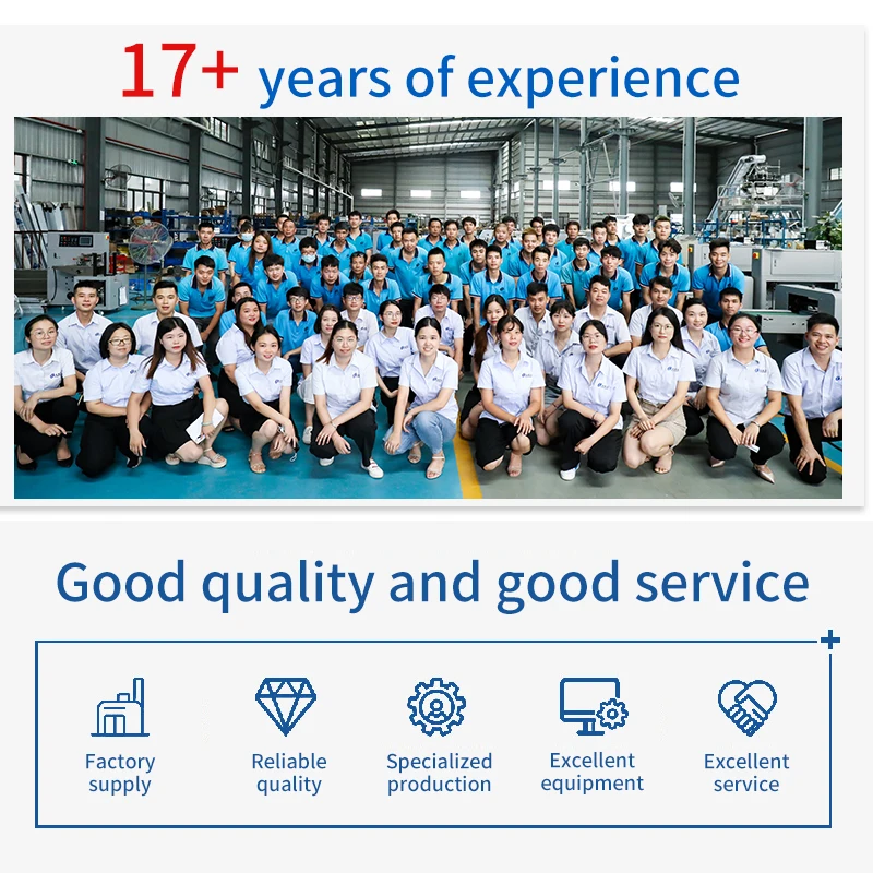 Packaging Machine Of Automatic  Sachet Bag Sugar  Toffee Gummy Candy Fruit Flavored Pops Freeze Dried Candy Packing Machine