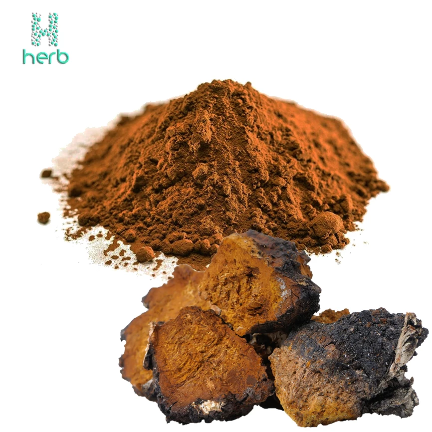 GMP Organic Water Soluble Chaga Mushroom Extract Powder