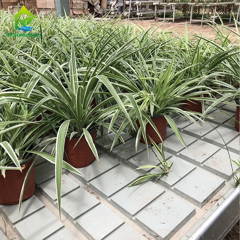 Nursery Movable Seeding Indoor Ebb Flow Double Tier Vertical Grow Rack for Hemp Growing and Vegetable Seeding