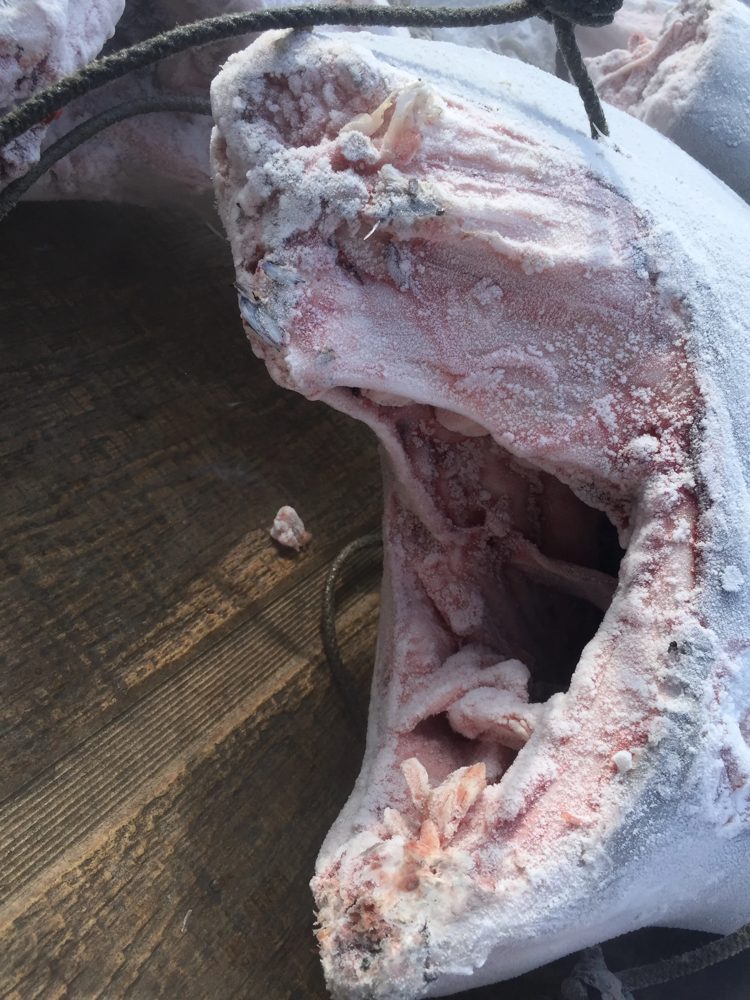 
2020 Wholesale IQF frozen Blue Marlin for fresh seafood 