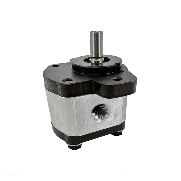 Universal Pumps Silent Gear Pumps for Hydraulic Lift Trucks and Hydraulic Tailgates