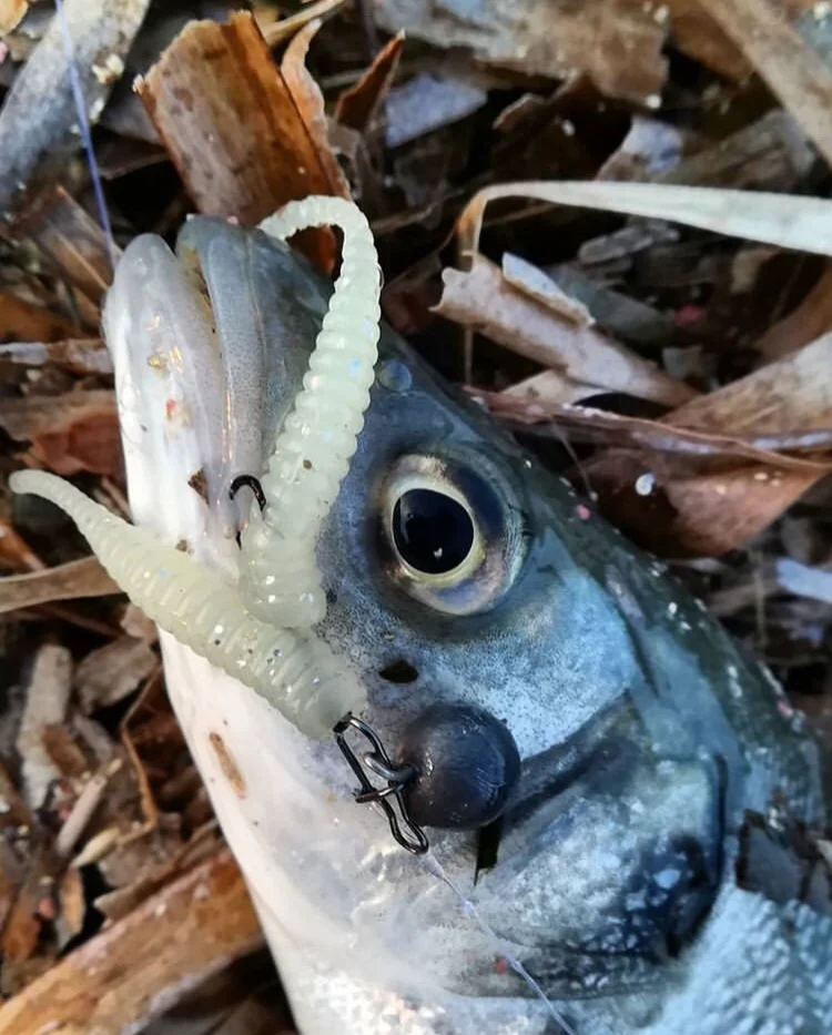 15pcs rooting soft PVC lure hot sale+4pcs lead head fishing hook fish sets soft bait kits