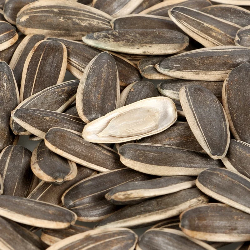 Inner Mongolia High-end Quality Export Melon Seed Office peeled sunflower seeds