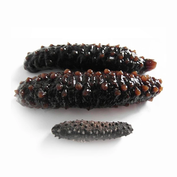 Wholesale Turkey Dried Sea Cucumber
