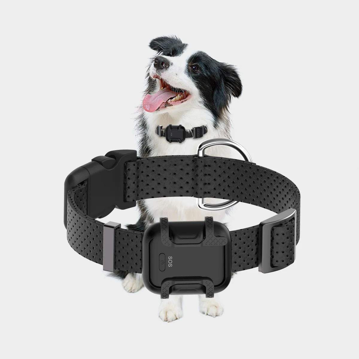 4G Dog tracking device with SIM Card Waterproof IP67 sms fitness Activity gps Pet tracker