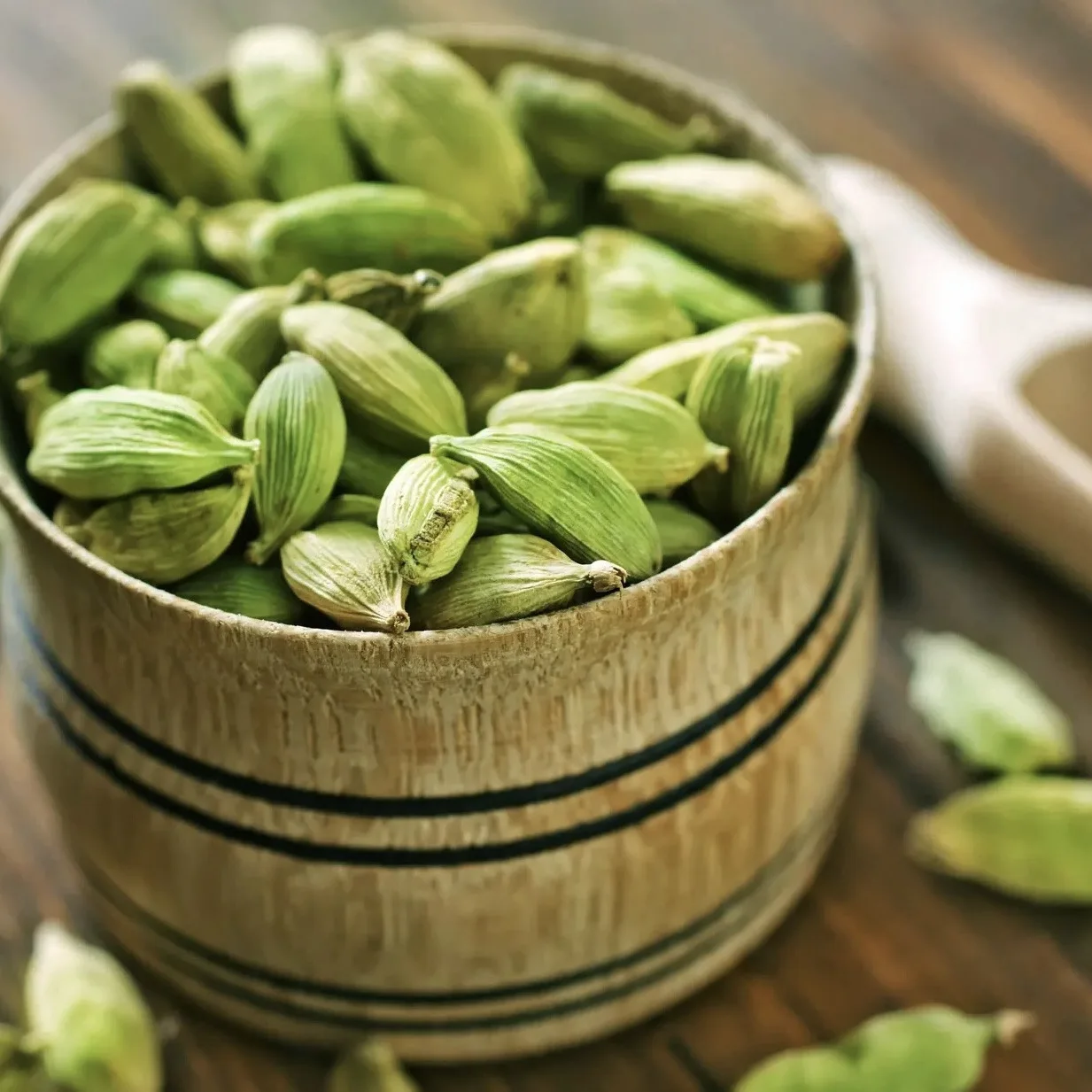 China Manufacturer 100% Natural Green Cardamom New Crop Single Spices Cardamom Green