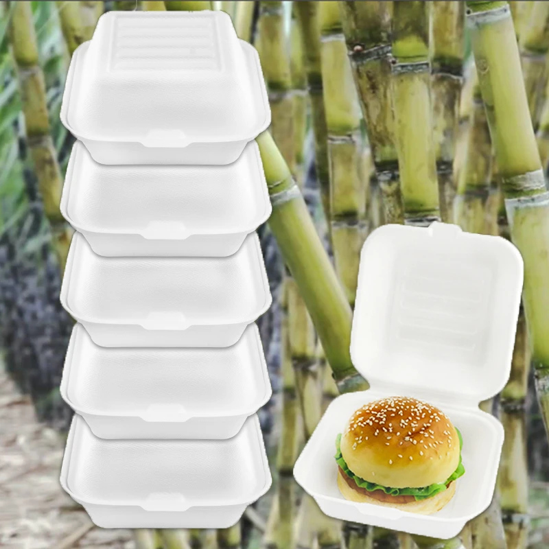 Sugarcane Bagasse Compostable food boxes takeaway packaging