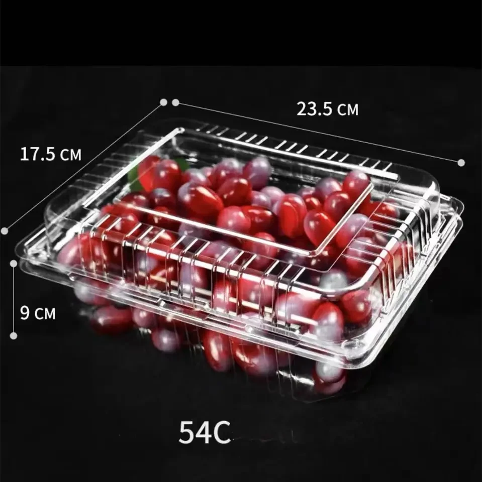 Custom Food Packaging Boxes Food Grade PET Disposable Plastic Fruit Container Salad Boxes With Air Hole