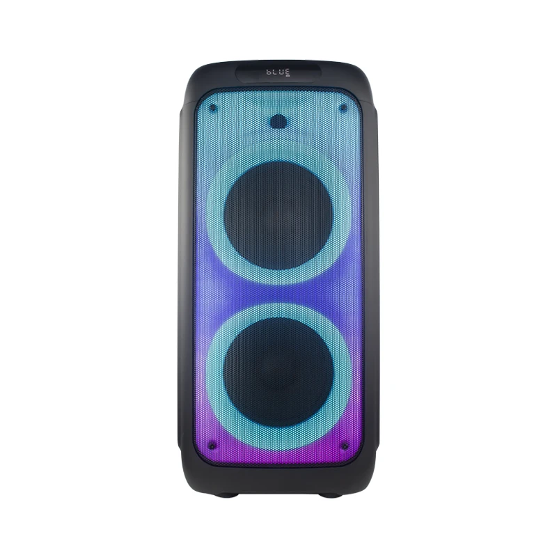 TEMEISHENG New Arrival Double 8 inch Bluetooth Hi-Fi Caixa De Som Partybox Speakers TMS-835